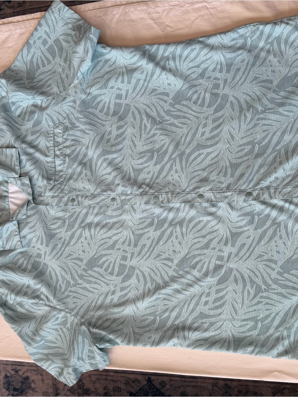 Light Seafoam Green Short-Sleeve Button-Down Shirt